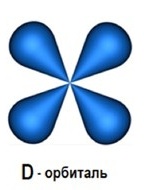 D-