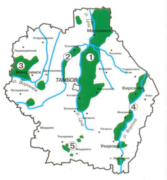 Реки тамбовской области карта